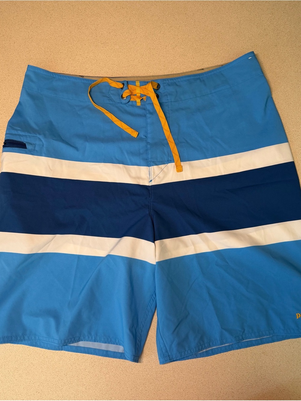 Patagonia Blue Striped Men's Board Shorts